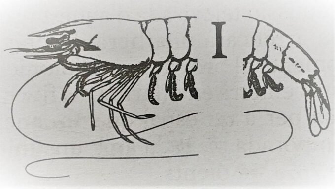 301032075_1924987617697981_2298568505676525977_n.jpg