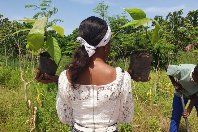 Reforestando con la asociación de adolescentes de Sare Bigi.